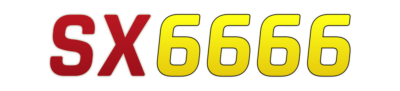 sx6666